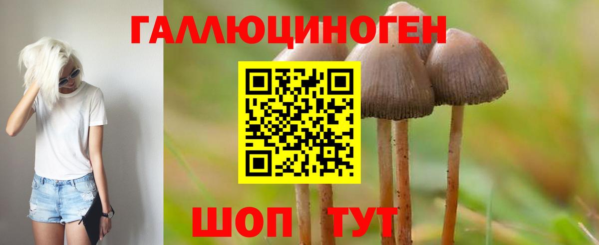 Алушта  Галлюциногенные грибы Magic Shrooms  Вход с VPN  Галлюциногенные грибы Psilocybine cubensis 